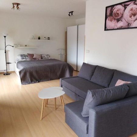Apartment Archa פודבראדי מראה חיצוני תמונה